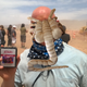Ilustración para el artículo titulado El hallazgo de los videojuegos de E.T. 31 años después, en imágenes